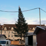 Besançon : polémique autour du sapin de Noël de la place de la révolution