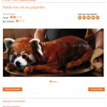 Un habitant de Saint-Claude fait le buzz en publiant une recette de panda roux sur Marmiton.org