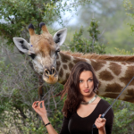 Besançon : une girafe du zoo de la Citadelle grièvement blessée par une perche à selfie