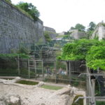 Zoo de Besançon : l’enclos des moustiques-tigres retrouvé vide ce matin