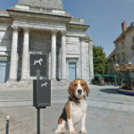 Autonomie : à Besançon, des distributeurs de sacs à crottes installés à la hauteur des chiens