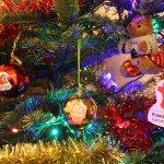 La région offre un magnifique spectacle de Noël aux familles ayant voté pour Marie-Guite Dufay